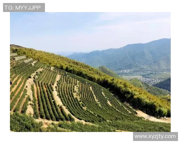 贵阳姚明涛：探索城市发展与文化传承的创新之路